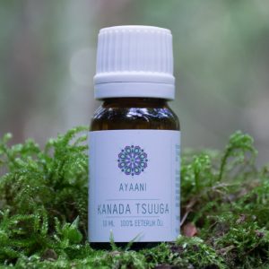 Kanada tsuuga