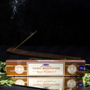 Viiruk Satya Yogic Meditation